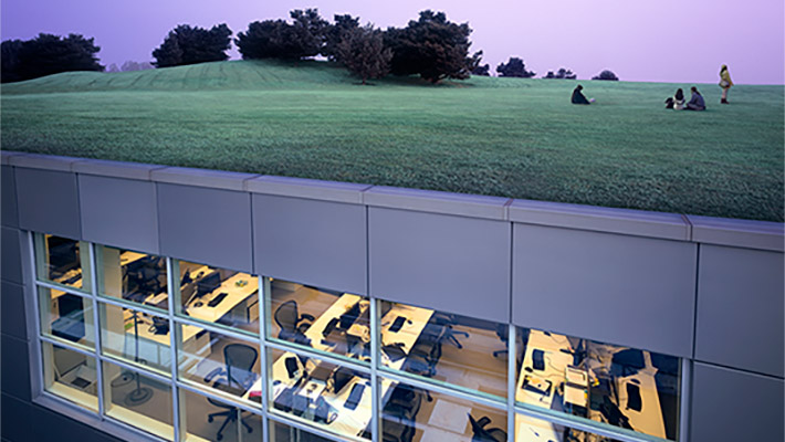 Garden view on the roof of office building