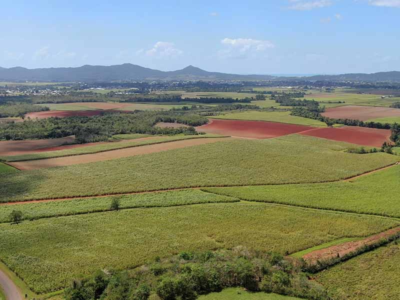 Innisfail Sugarcane Aggregation