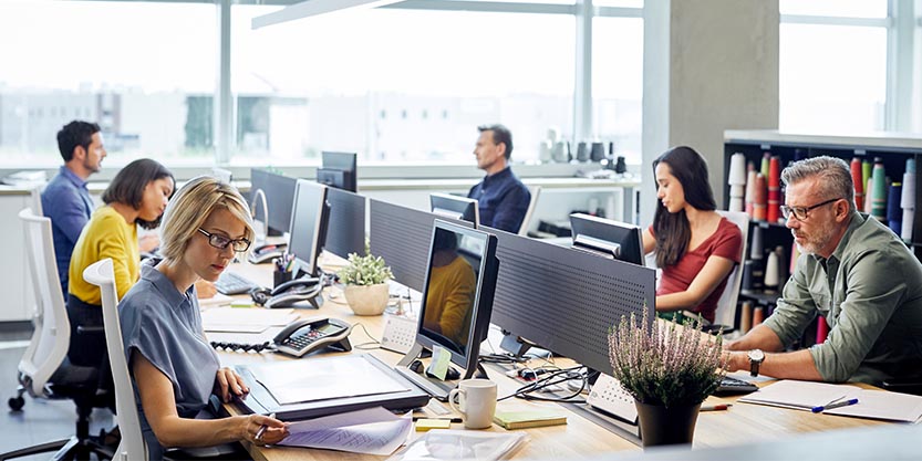 Office workers sitting at two rows of desks facing each other, all looking at their laptops