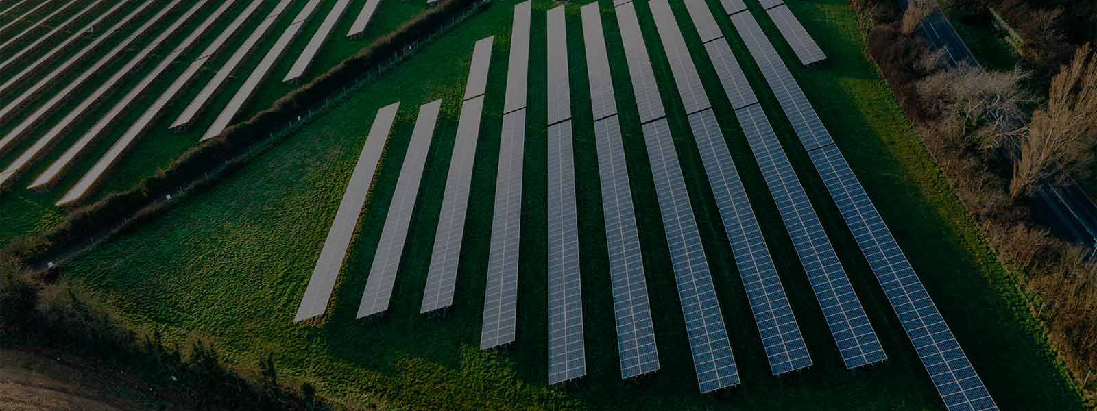 Vast rows of solar panels spread across lush green farmland