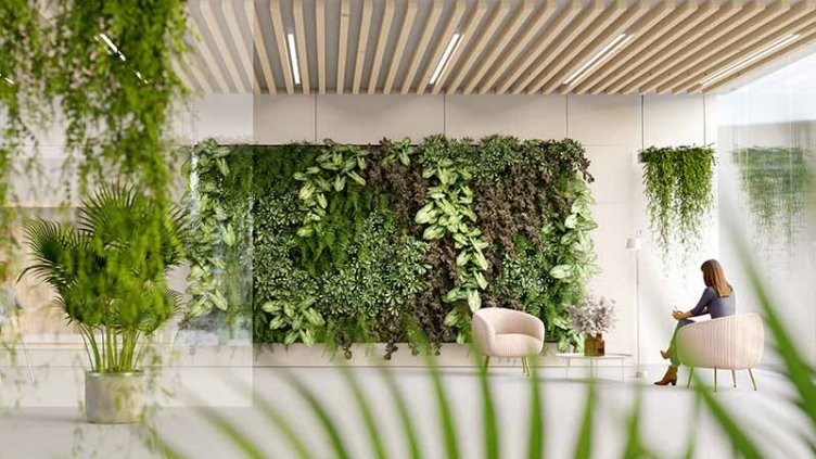 Interior office area with greenery