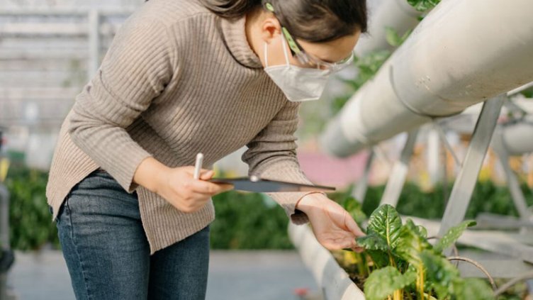 Botanist scientist examines the growth of plants and prepare a report during a quality control inspection in a plant nursery