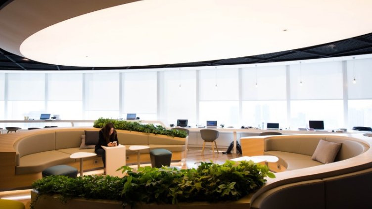 A Girl sitting indoor office and looking at mobile